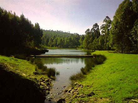 sandiles-rest-trout-fishing