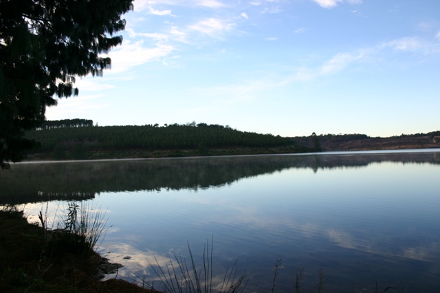 Gubu Dam gubu dam stutterheim trout fishing picnic spot